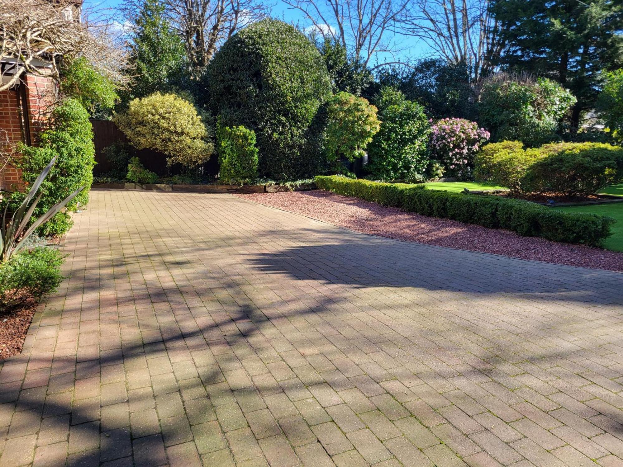 Little Robin Gate - Free Parking - Central - 10 Min Walk To Train Station Bournemouth Bagian luar foto