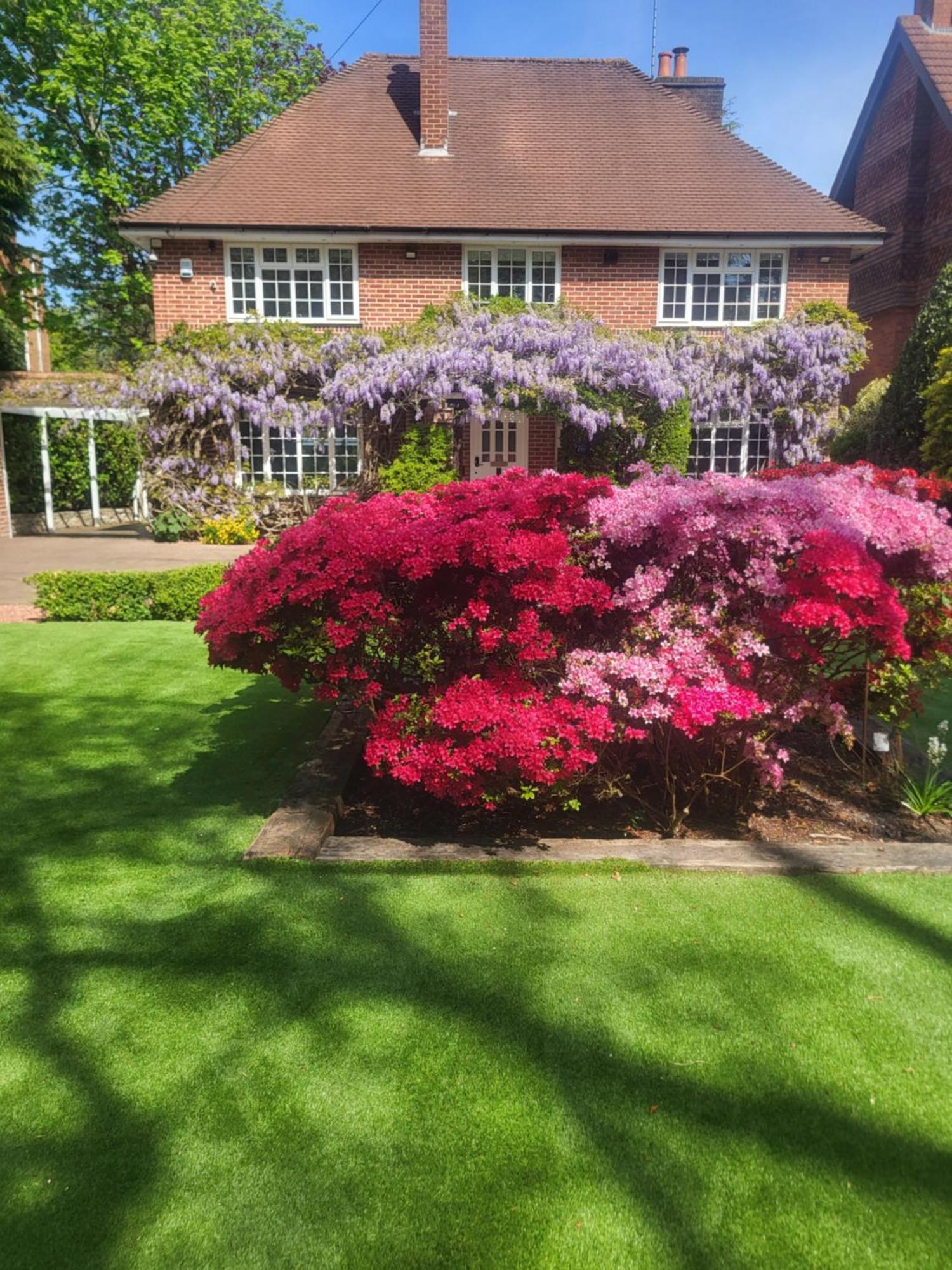 Little Robin Gate - Free Parking - Central - 10 Min Walk To Train Station Bournemouth Bagian luar foto